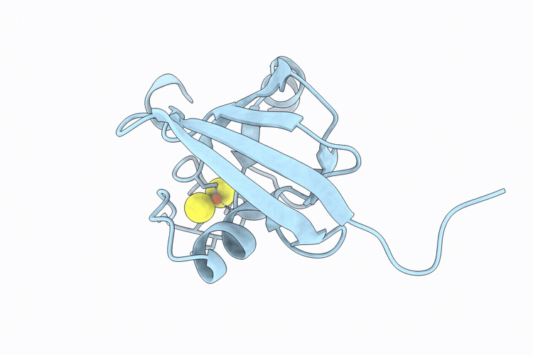 9TXE image