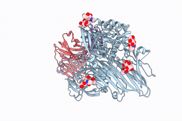 9TXJ image