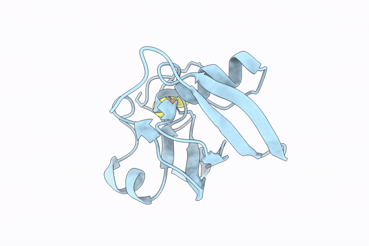 9TXQ image