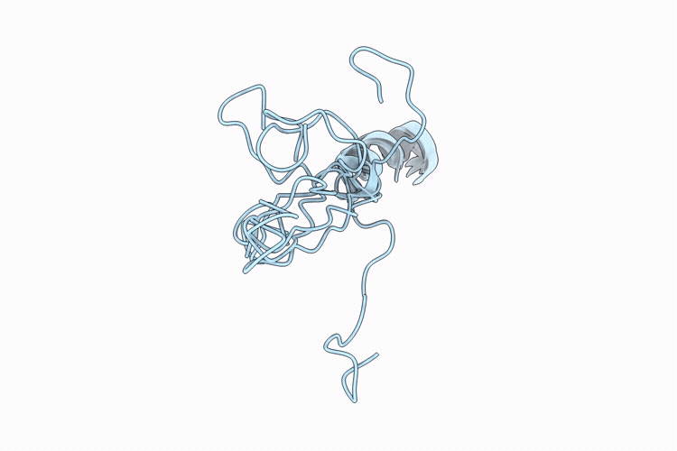 9U2V image