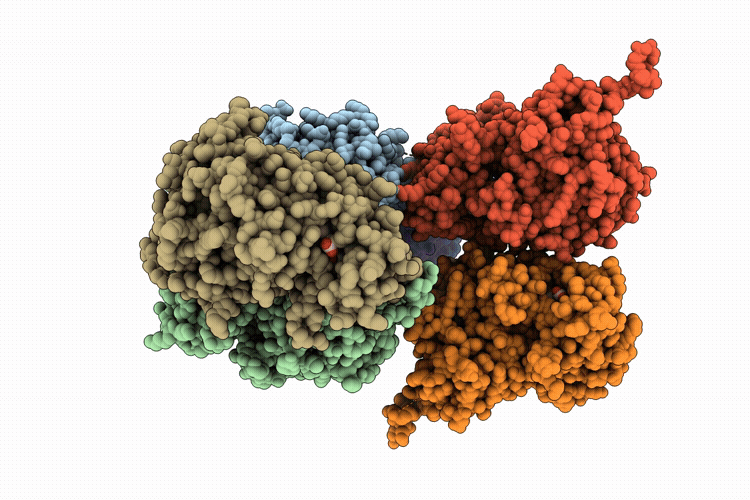 9U2X image
