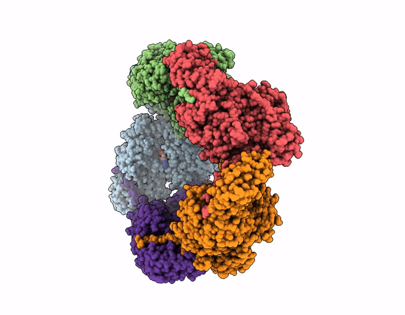 9U3A image