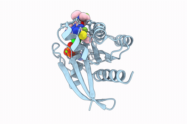 9U3Z image