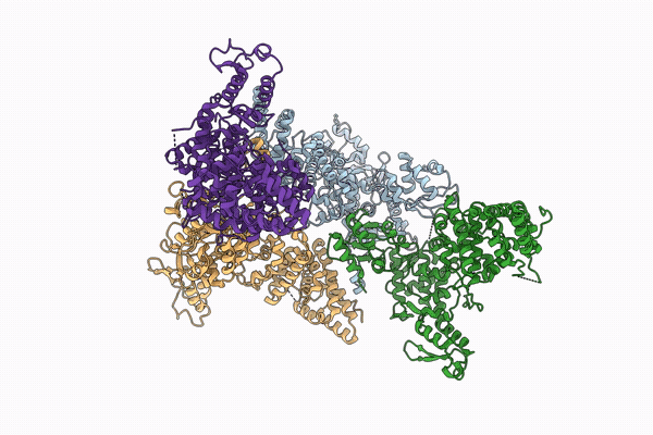 9U4A image