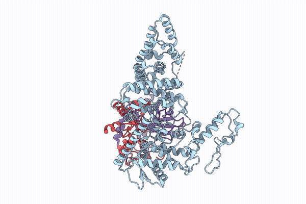 9U4D image