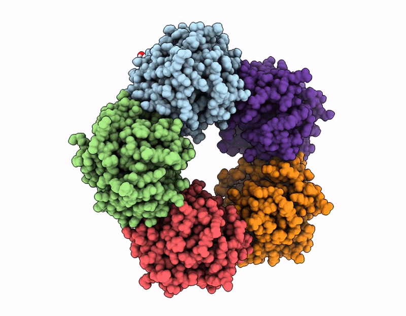 9U4E image