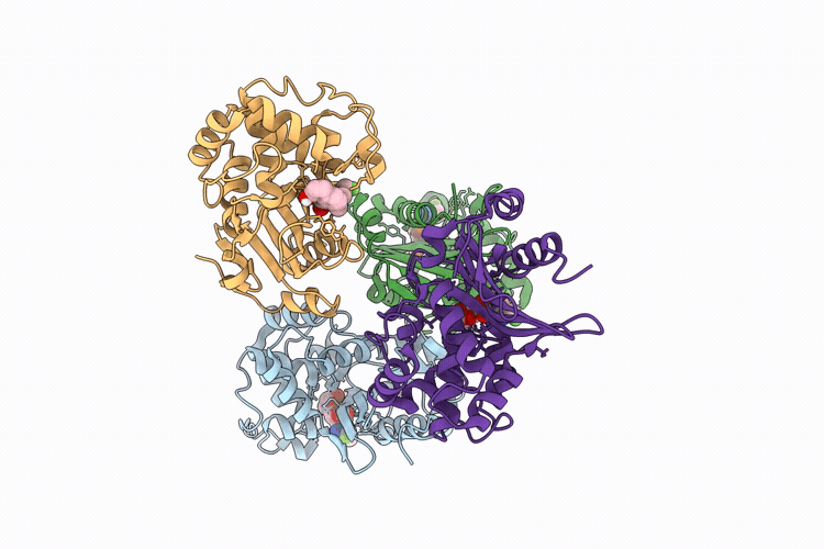 9U4I image
