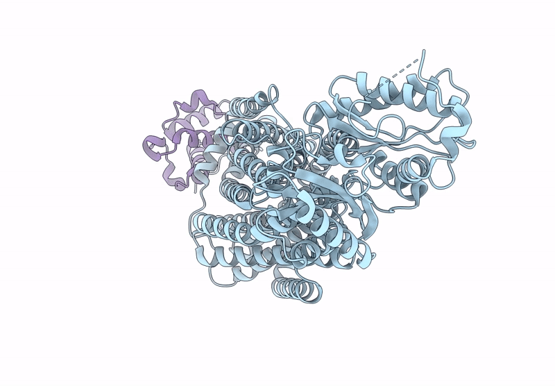 9U4V image