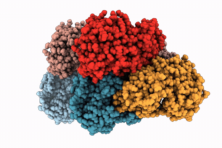 9U4X image