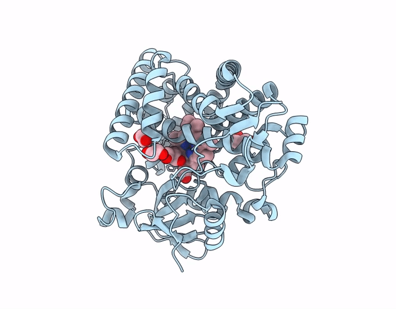9U53 image