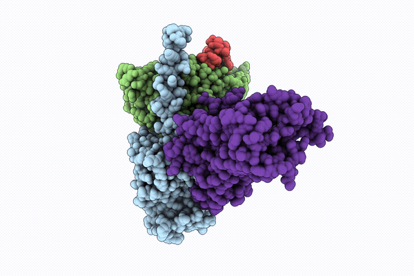 9U5E image