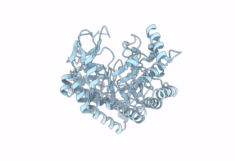 9U5L image