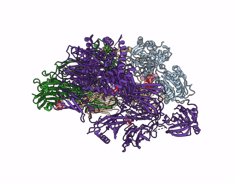 9U61 image