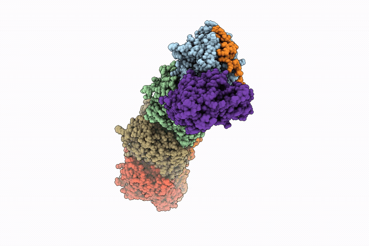 9U6D image