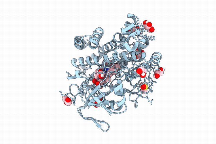 9U7W image