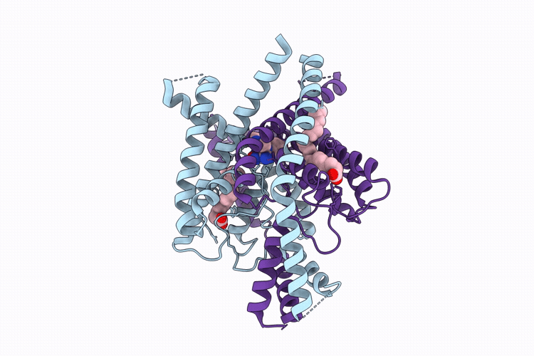 9U8B image