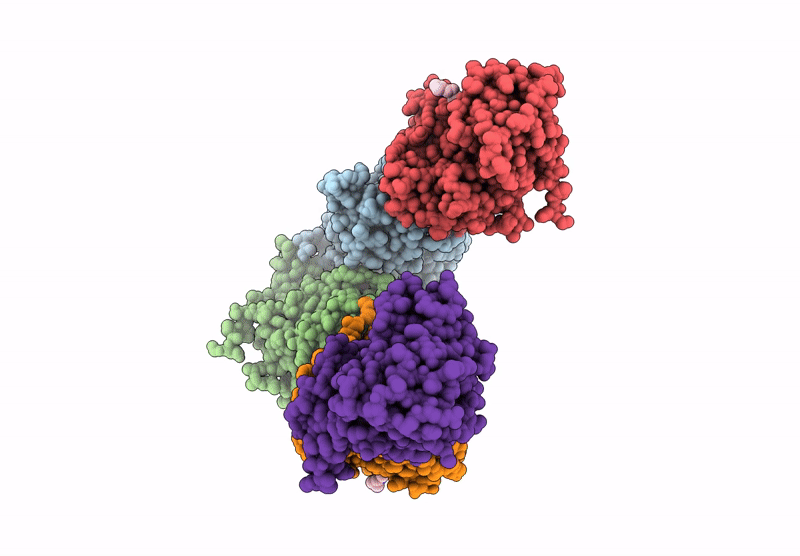 9U8C image