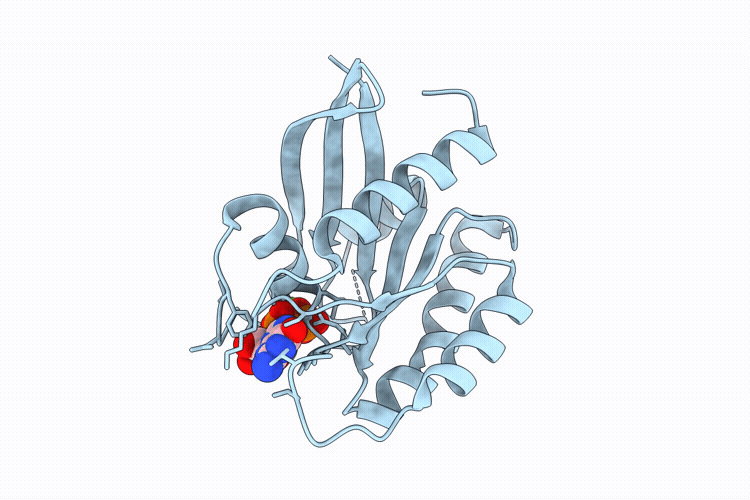 9U8V image