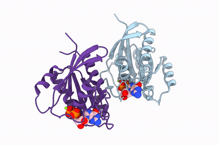 9U8W image