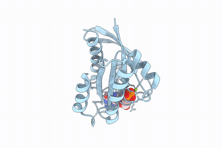 9U8X image