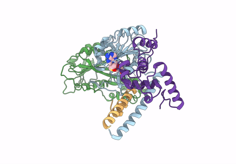 9U92 image