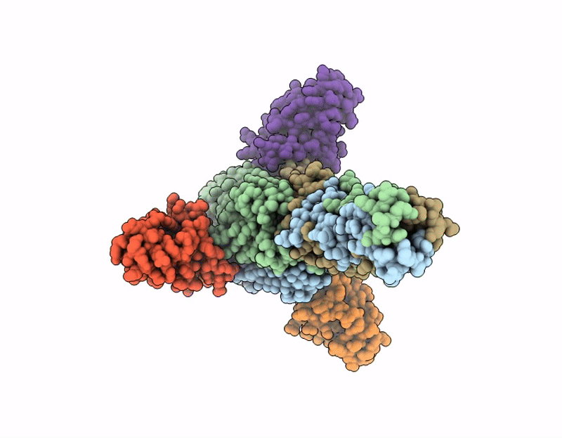 9U94 image