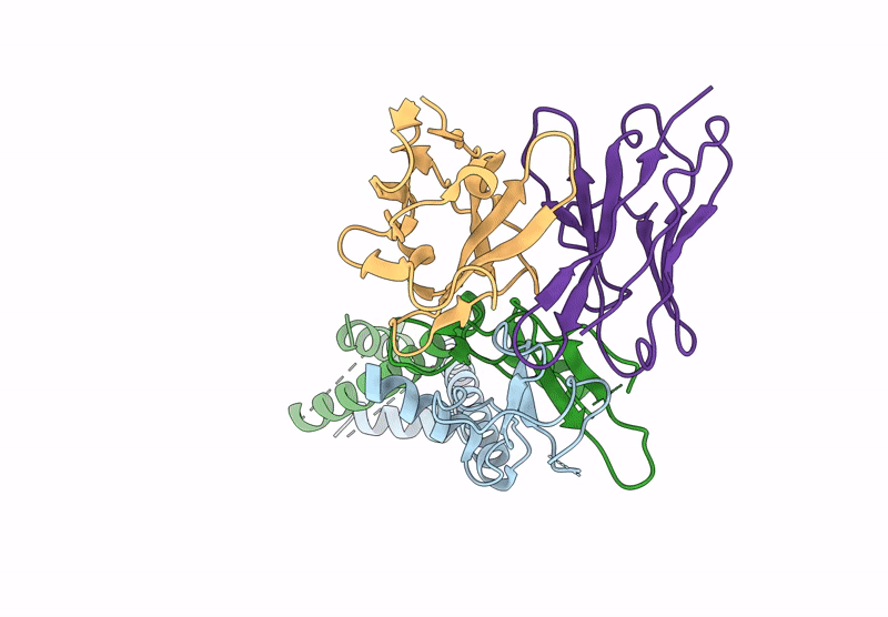 9U9B image