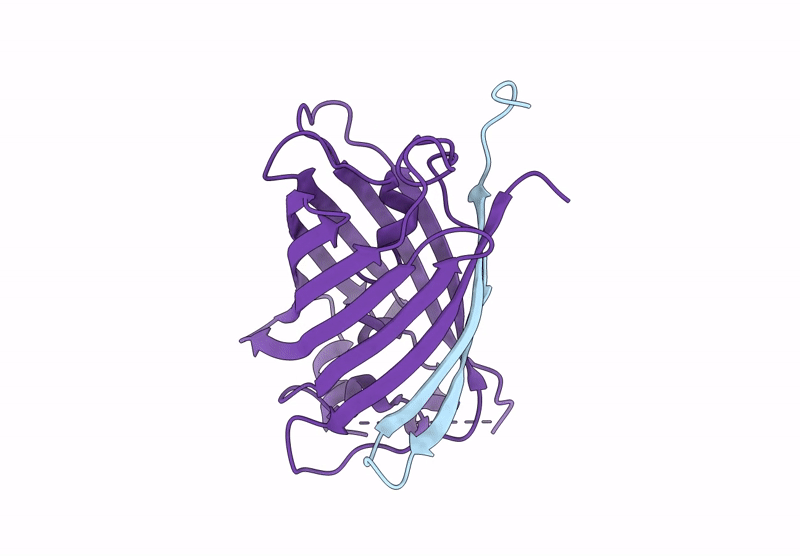 9U9D image