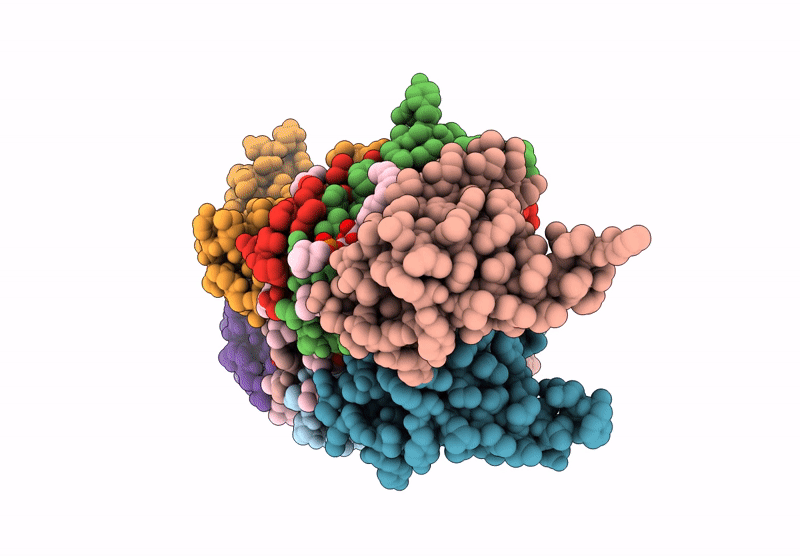 9U9H image