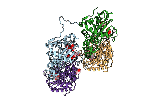 9UAB image