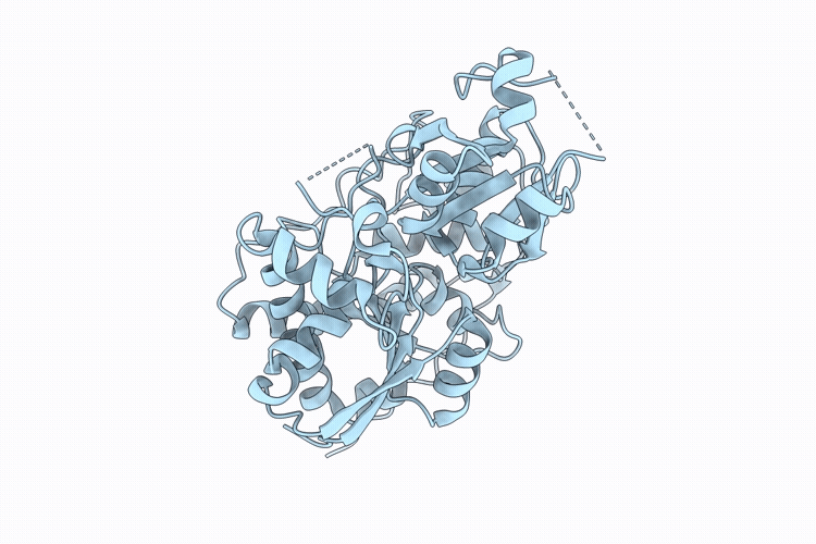 9UAK image