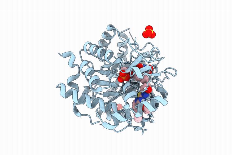 9UB2 image