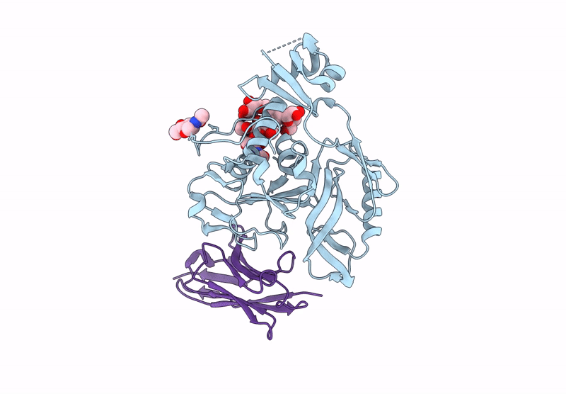 9UB6 image