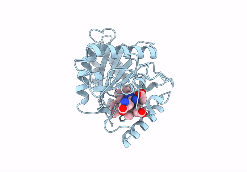 9UBA image