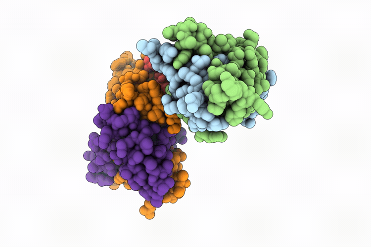 9UBD image