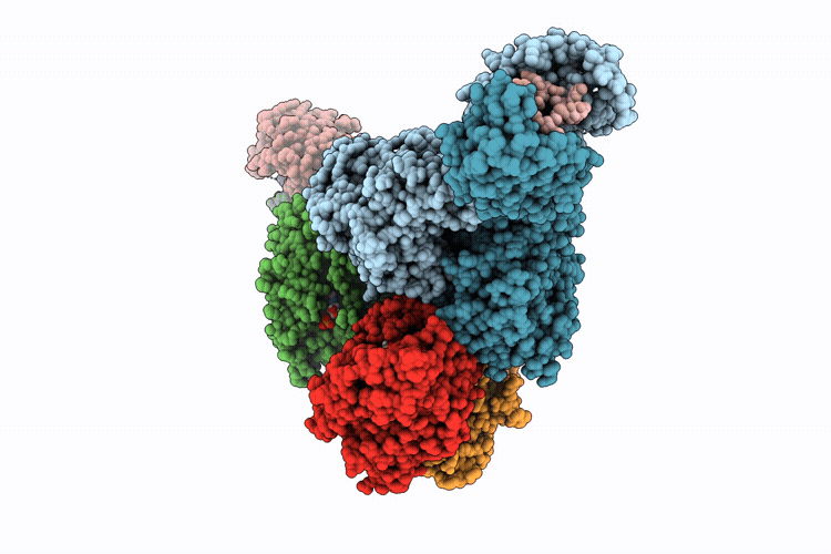 9UBM image