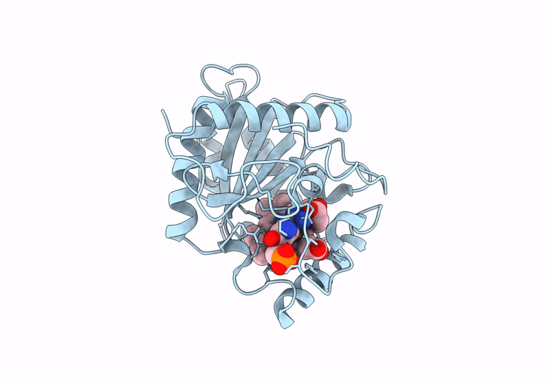 9UBT image