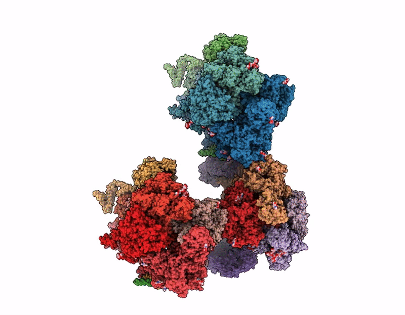 9UBX image