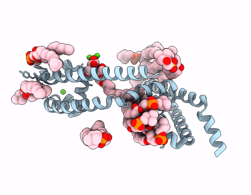 9UC3 image