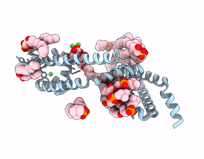 9UC4 image