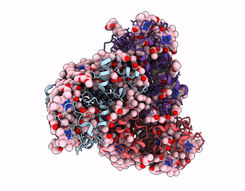 9UC6 image