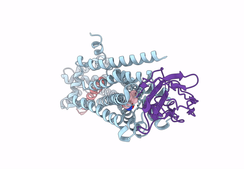 9UCP image