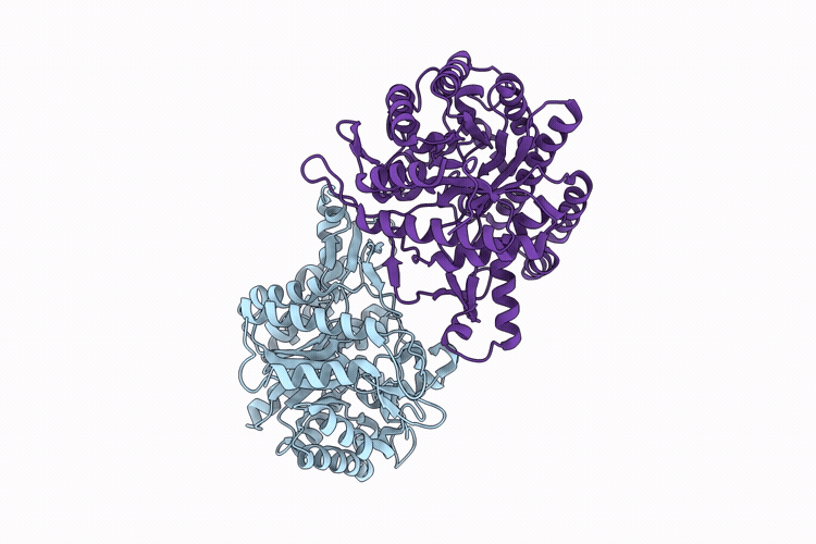 9UCT image