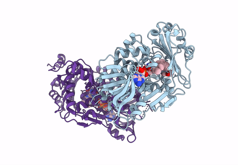 9UDB image