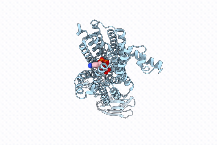9UDC image