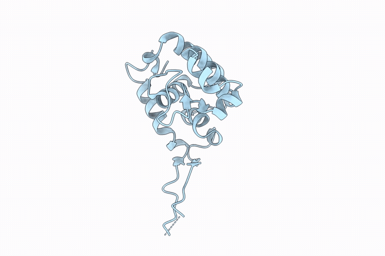 9UDH image