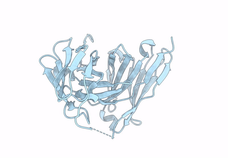 9UDN image