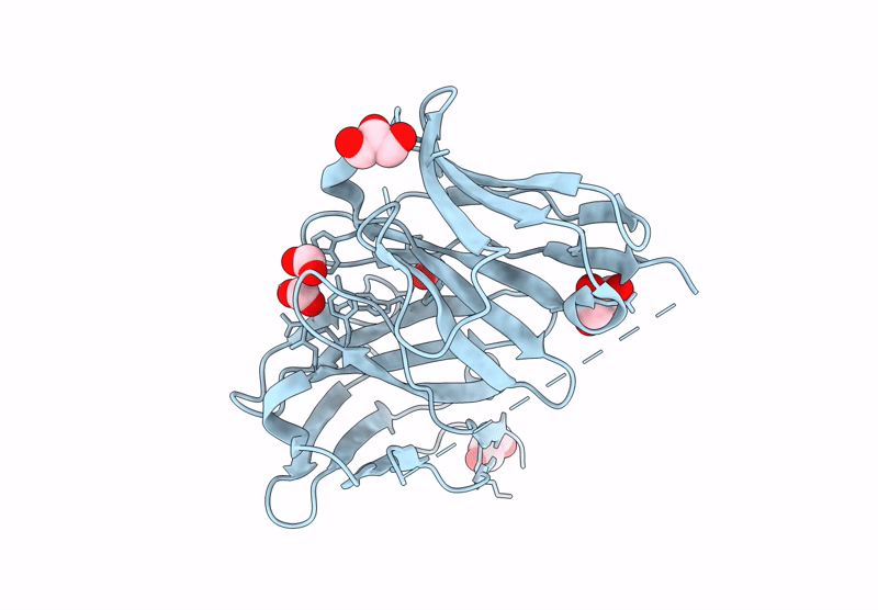 9UDP image