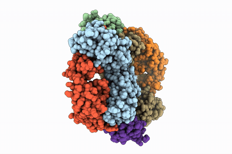 9UDQ image