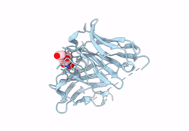 9UDR image